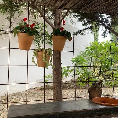 Casas De Almajar Tatil Evi Prado Del Rey