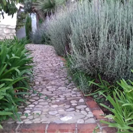 Tatil Evi Casas De Almajar *